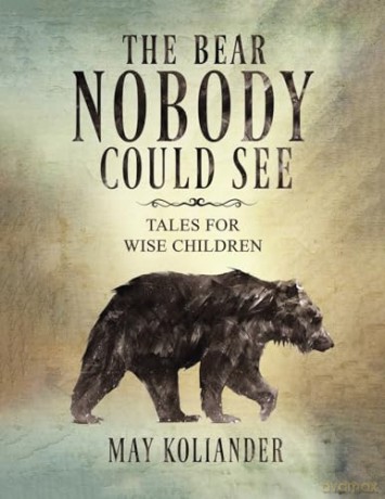 Bear Nobody Could See - May Koliander [KSIĄŻKA]