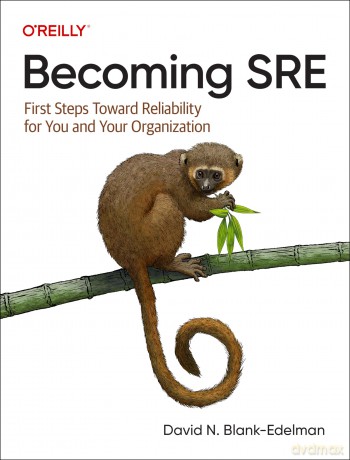 Becoming Sre - David Edelman [KSIĄŻKA]
