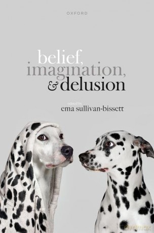 Belief Imagination And Delusion [KSIĄŻKA]