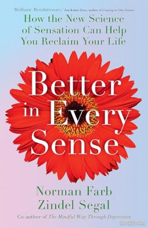 Better In Every Sense - Norman Farb [KSIĄŻKA]
