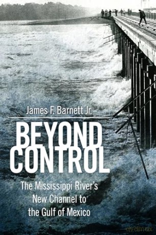 Beyond Control [KSIĄŻKA]