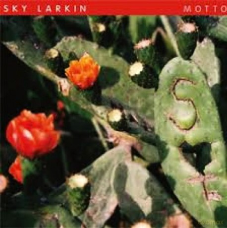 Sky Larkin: Motto [WINYL]+[CD]