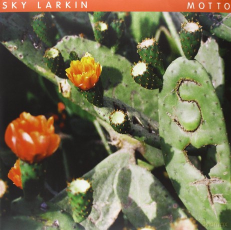 Sky Larkin: Motto [WINYL]+[CD]
