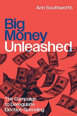 Big Money Unleashed - Ann Southworth [KSIĄŻKA]