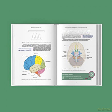 Biological Psychology - Suzanne Higgs [KSIĄŻKA]