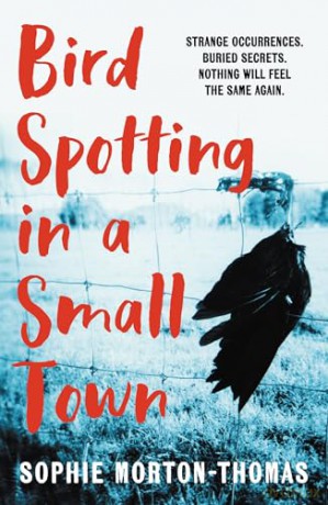 Bird Spotting In A Small Town - S Morton-Thomas [KSIĄŻKA]