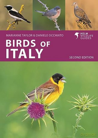 Birds Of Italy - Daniele Occhiato [KSIĄŻKA]