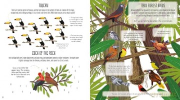 Birds Of The World Activity Book - Lisa Regan [KSIĄŻKA]