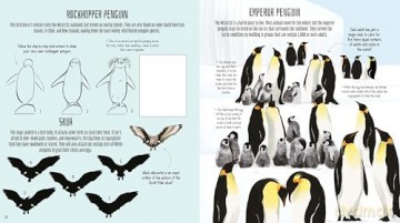 Birds Of The World Activity Book - Lisa Regan [KSIĄŻKA]
