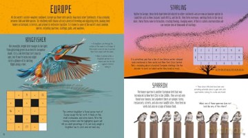 Birds Of The World Activity Book - Lisa Regan [KSIĄŻKA]