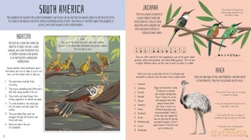 Birds Of The World Activity Book - Lisa Regan [KSIĄŻKA]