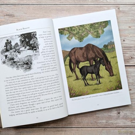 Black Beauty - Anna Sewell [KSIĄŻKA]