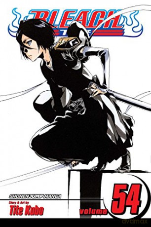 Bleach 54 Pa - Tite Kubo [KSIĄŻKA]