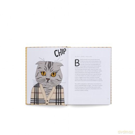 Blue Chip - Angelica (Il) Hicks [KSIĄŻKA]