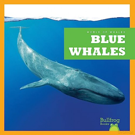 Blue Whales - Eliza Leahy [KSIĄŻKA]