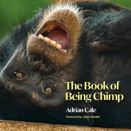 Book Of Being Chimp - Adrian Cale [KSIĄŻKA]
