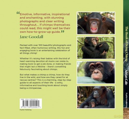Book Of Being Chimp - Adrian Cale [KSIĄŻKA]
