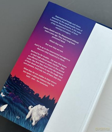 Book Of Love - Kelly Link [KSIĄŻKA]
