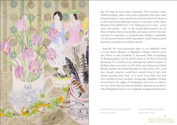 Book Of Wild Flowers - Angie Lewin [KSIĄŻKA]