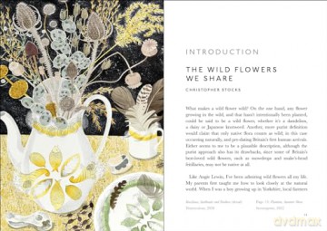 Book Of Wild Flowers - Angie Lewin [KSIĄŻKA]