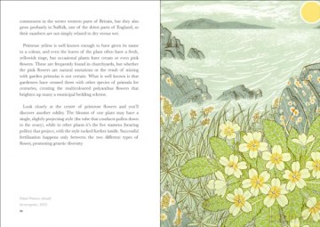 Book Of Wild Flowers - Angie Lewin [KSIĄŻKA]