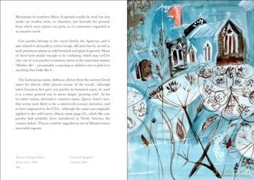 Book Of Wild Flowers - Angie Lewin [KSIĄŻKA]