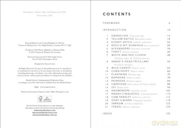 Book Of Wild Flowers - Angie Lewin [KSIĄŻKA]