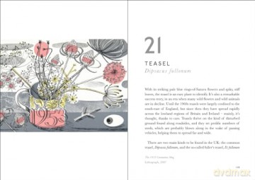 Book Of Wild Flowers - Angie Lewin [KSIĄŻKA]