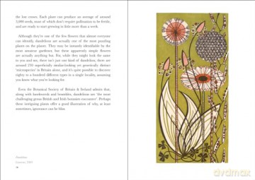 Book Of Wild Flowers - Angie Lewin [KSIĄŻKA]