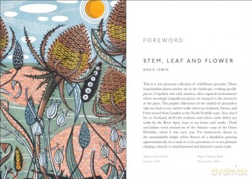 Book Of Wild Flowers - Angie Lewin [KSIĄŻKA]