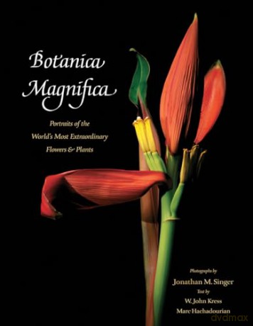 Botanica Magnifica Portraits - Singer Jonatha [KSIĄŻKA]