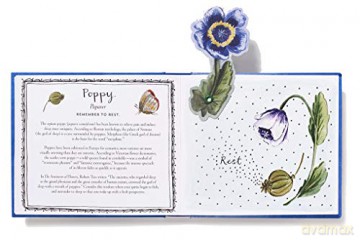 Bouquet In A Book Thinking Of You - Molly Hatch [KSIĄŻKA]