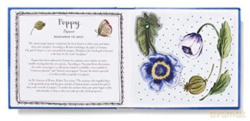 Bouquet In A Book Thinking Of You - Molly Hatch [KSIĄŻKA]