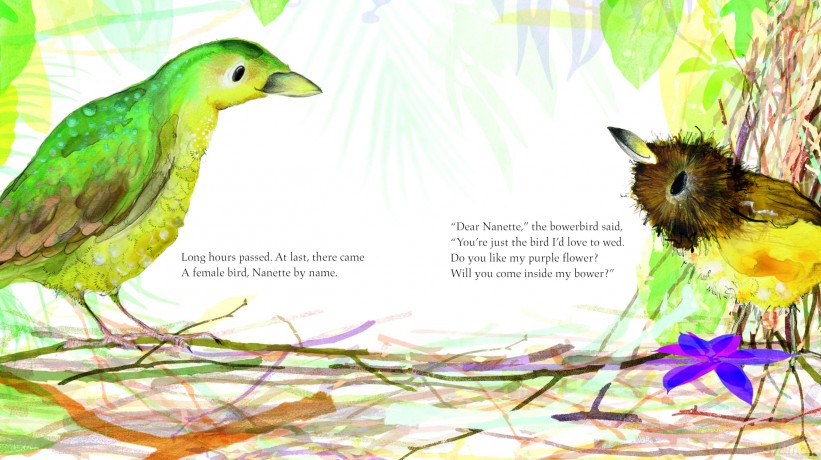 Bowerbird - Julia Donaldson [KSIĄŻKA]