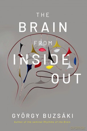 Brain From Inside Out [KSIĄŻKA]