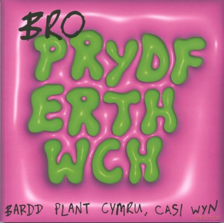Bro Prydferthwch - Casi Wyn [KSIĄŻKA]