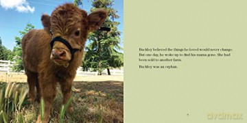 Buckley the Highland Cow and Ralphy the Goat: A True Story about Kindness, Friendship, and Being Yourself - Renee M Rutledge [KSIĄŻKA]