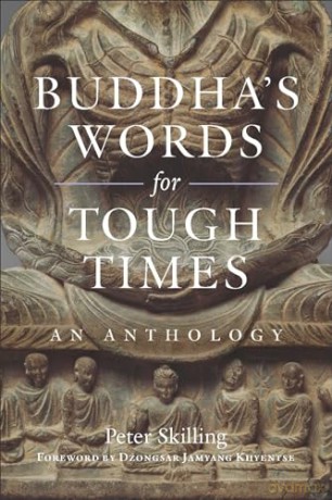 Buddhas Words For Tough Times - Skilling Peter [KSIĄŻKA]