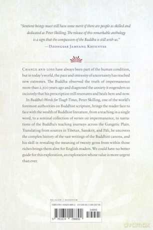 Buddhas Words For Tough Times - Skilling Peter [KSIĄŻKA]