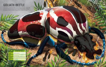 Build Your Own Giant Bugs Sticker Book - Sam Smith [KSIĄŻKA]