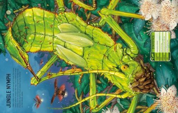 Build Your Own Giant Bugs Sticker Book - Sam Smith [KSIĄŻKA]