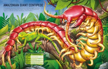 Build Your Own Giant Bugs Sticker Book - Sam Smith [KSIĄŻKA]