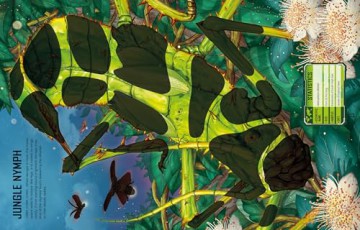 Build Your Own Giant Bugs Sticker Book - Sam Smith [KSIĄŻKA]