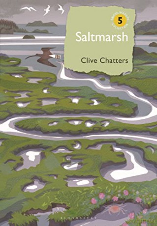 Bwc Saltmarsh - Chatters Clive [KSIĄŻKA]