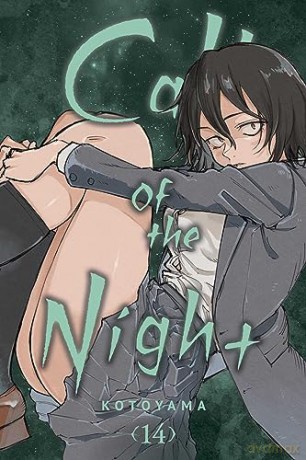 Call Of The Night Vol 14 - Kotoyama [KSIĄŻKA]