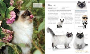 Cat Encyclopedia - Dk [KSIĄŻKA]