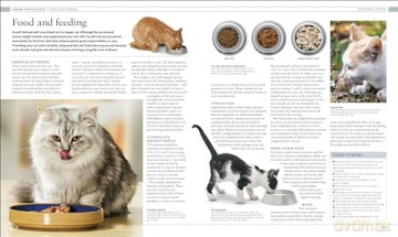 Cat Encyclopedia - Dk [KSIĄŻKA]