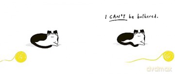 Cat Who Couldnt Be Bothered - Jack Kurland [KSIĄŻKA]