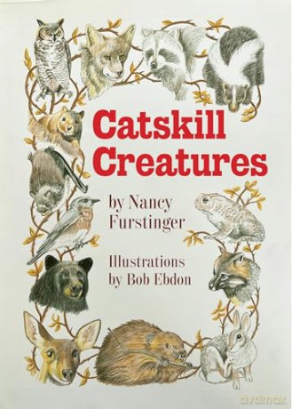 Catskill Creatures - N Furstinger [KSIĄŻKA]