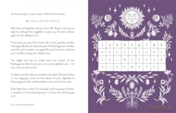 Charting Your Life Path - Carolyne Faulkner [KSIĄŻKA]